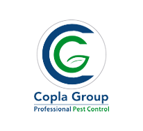 diseno_sitio_web_cliente_coplagroup